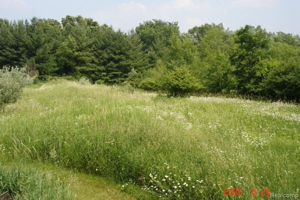 5931 Lippincott Road Lapeer, MI 48446 - Photo 37 of 54 Acreage E. 3