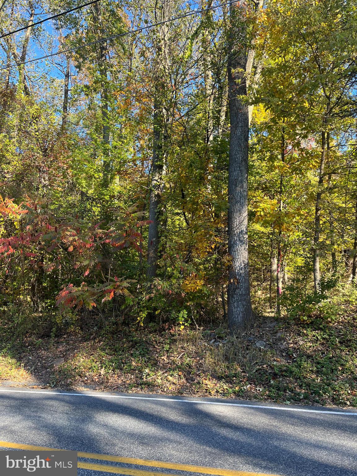 Lot 2 Big Spring Road New Cumberland, PA 17070 - Photo 2 of 3