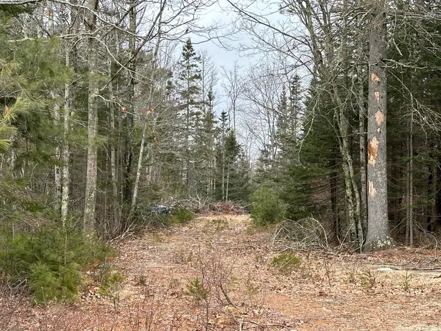 $99,000 | 221 Bucksport Road, Ellsworth, ME 04605