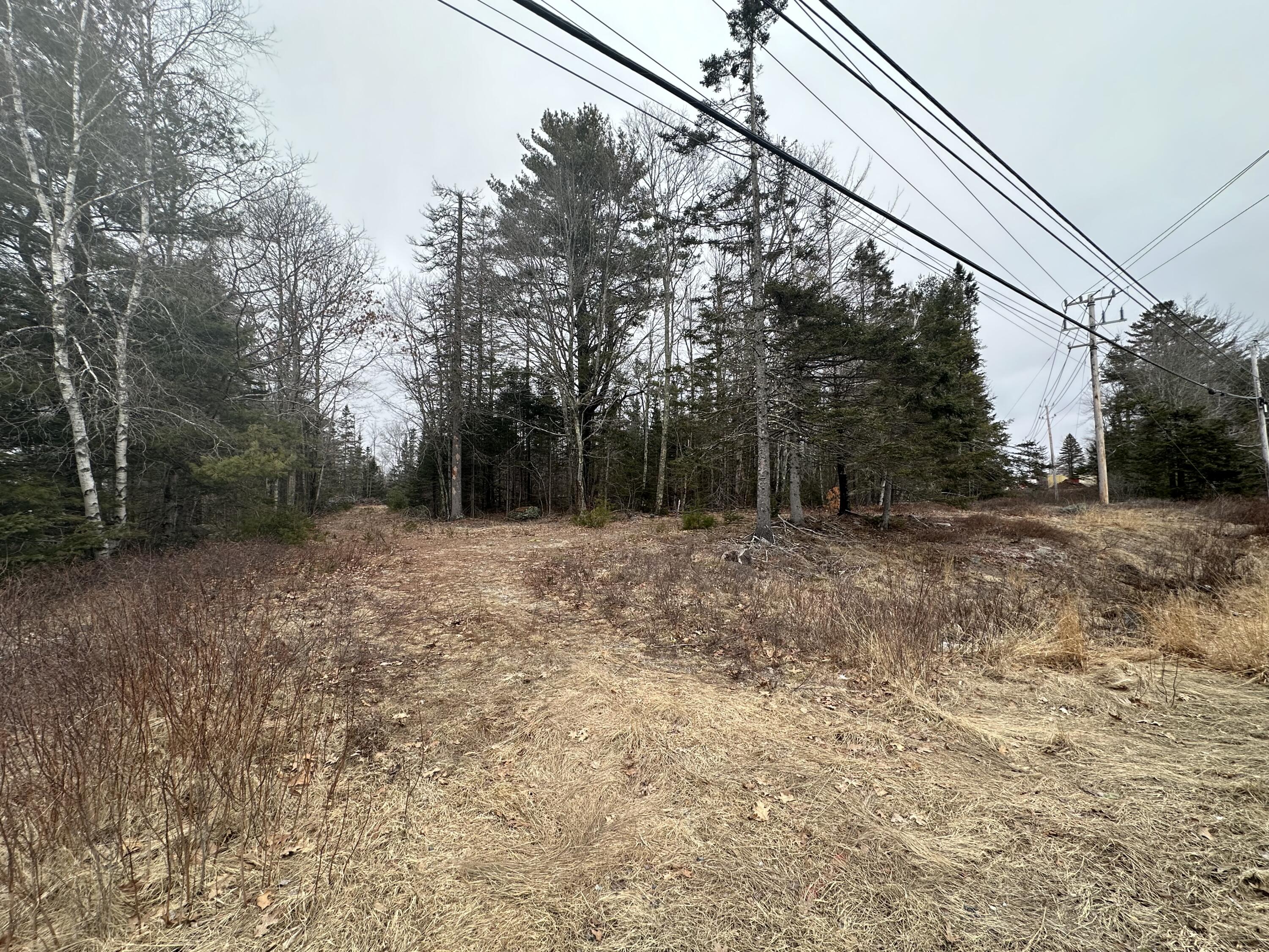 221 Bucksport Road Ellsworth, ME 04605 - Photo 4 of 10 IMG_1334