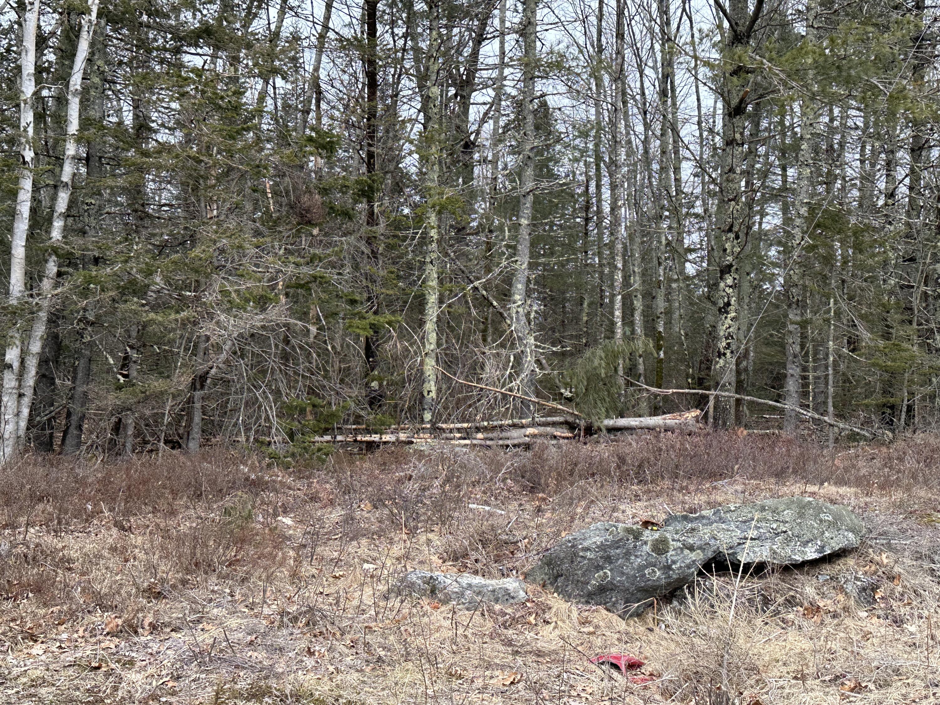 221 Bucksport Road Ellsworth, ME 04605 - Photo 7 of 10 IMG_1327