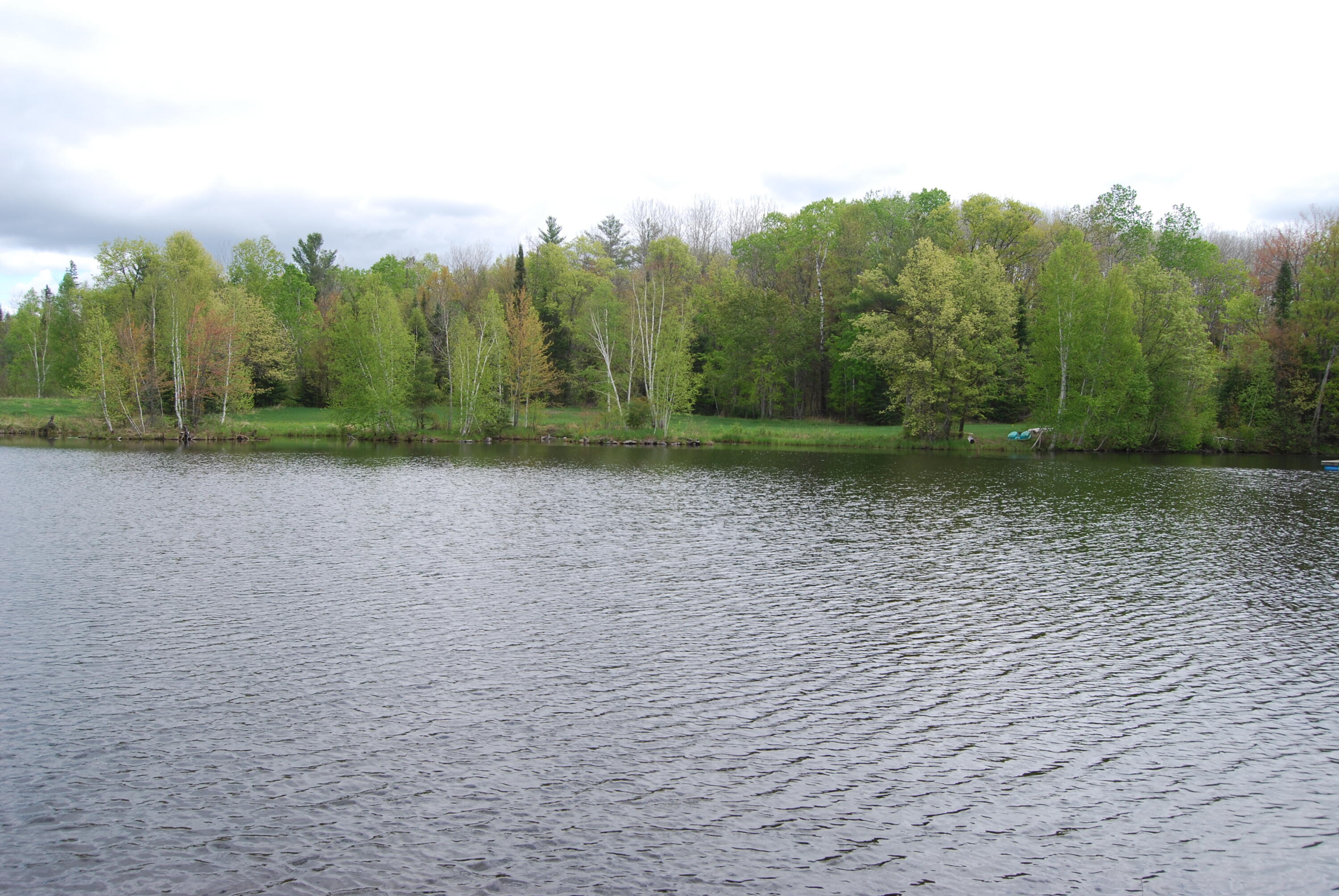 N11502 Nelson Road Athelstane, WI 54177 - Photo 65 of 77 Pond 2