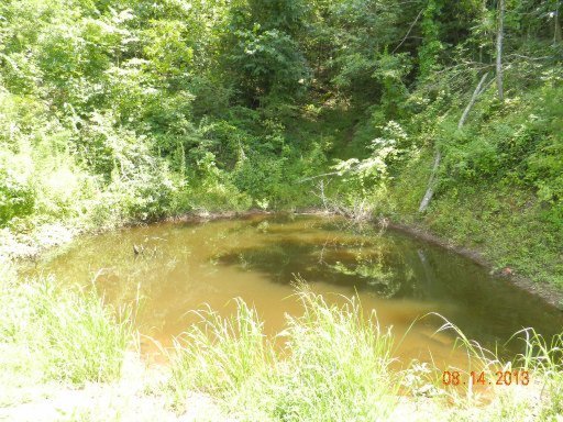 6009 Hickory Valley Road Andersonville, TN 37705 - Photo 7 of 27 Additional Photo