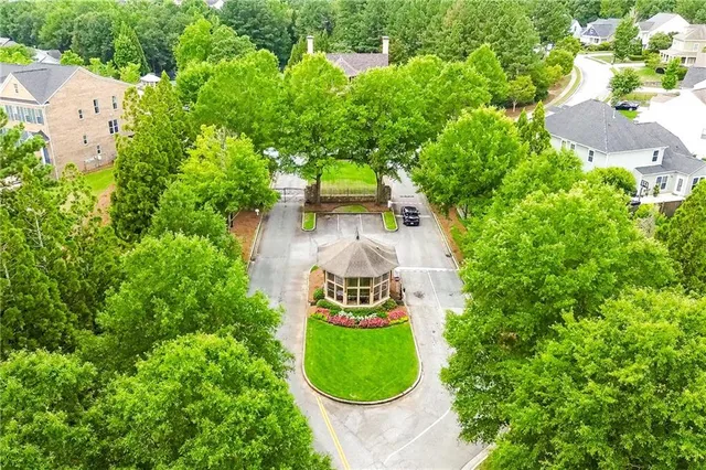 a view of a garden with plants and large trees