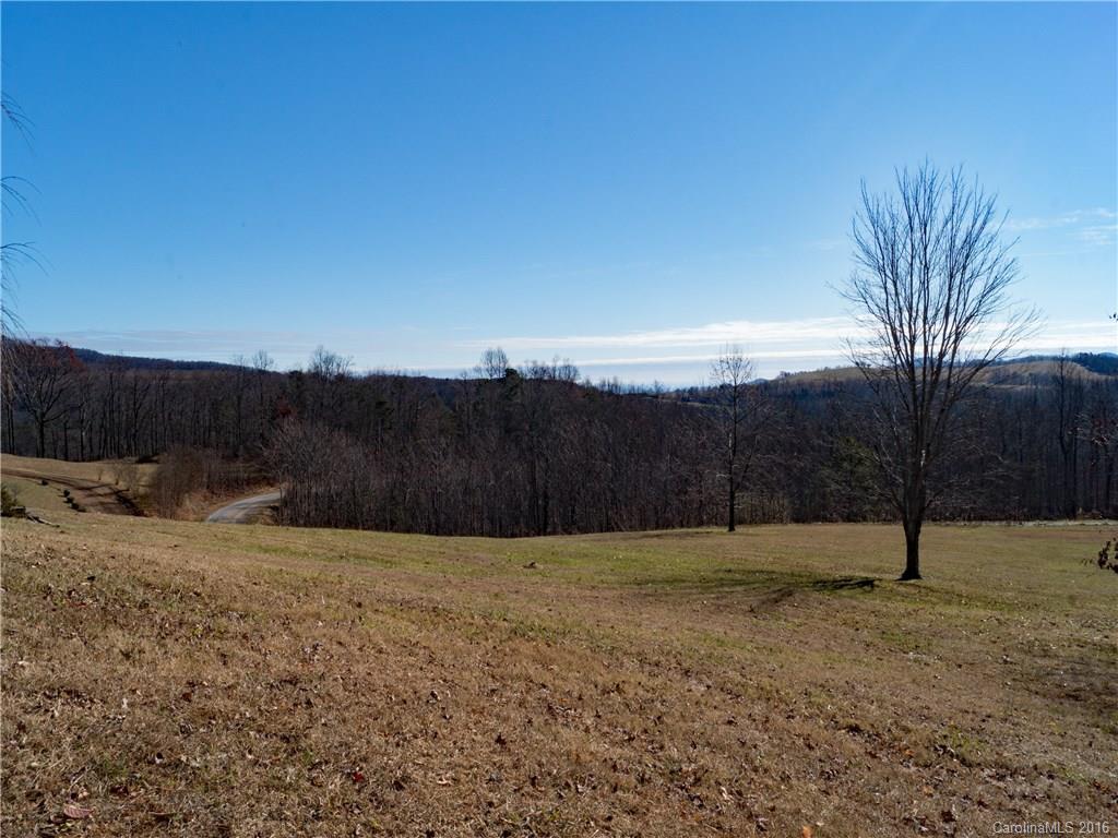 1215 Summer Road Hendersonville, NC 28792 - Photo 11 of 14 Gallery Image 11