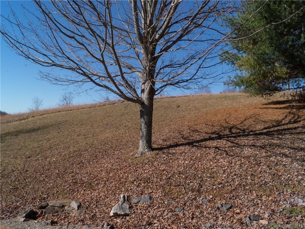 1215 Summer Road Hendersonville, NC 28792 - Photo 14 of 14 Gallery Image 14