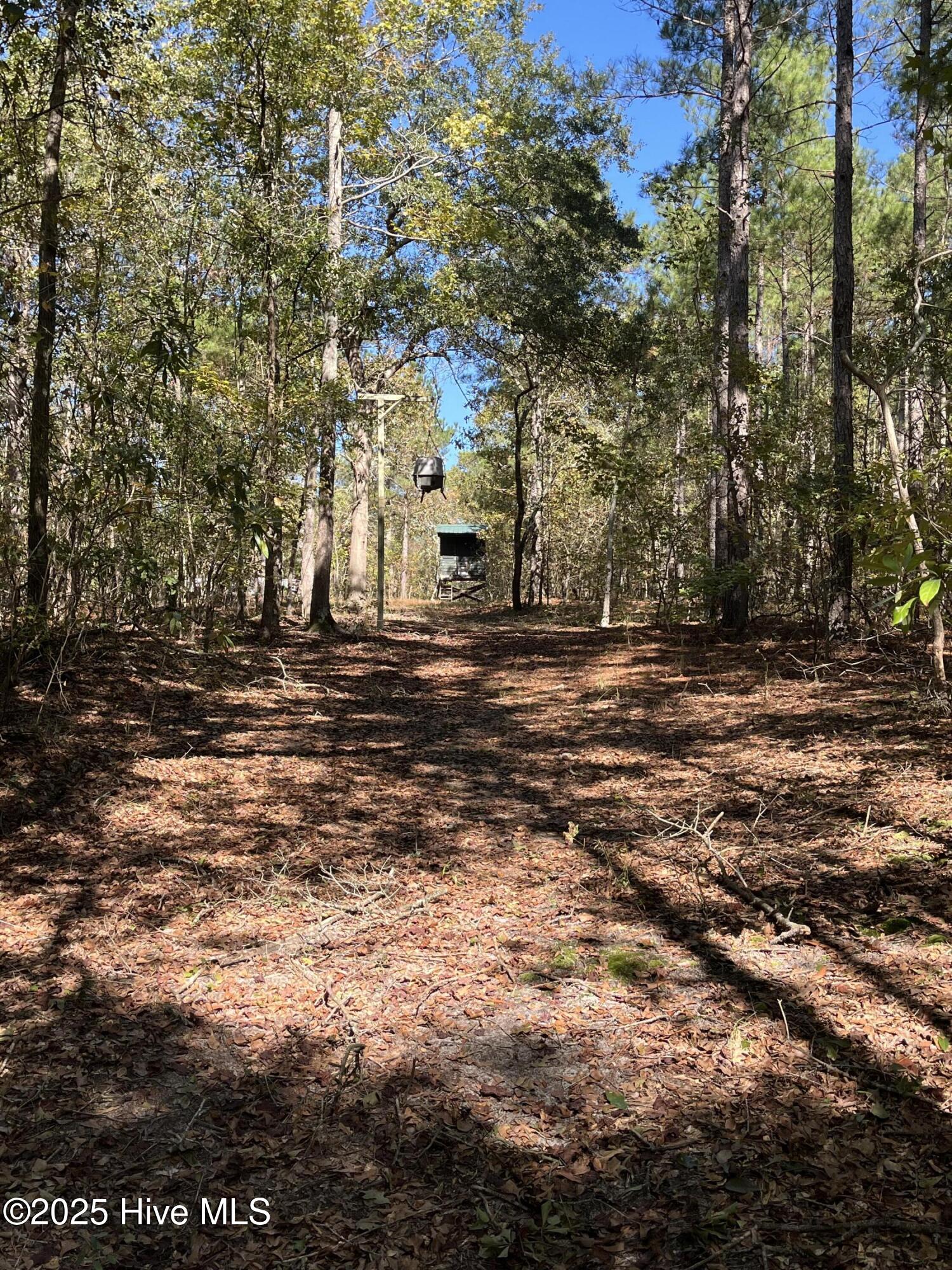Off Hayne Stretch Road Autryville, NC 28318 - Photo 24 of 38 IMG_9319
