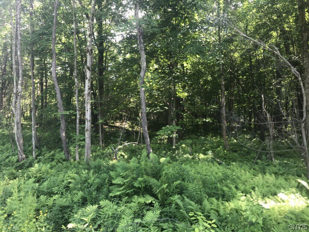 93 Eldred Road Altmar, NY 13302 - Photo 1 of 1