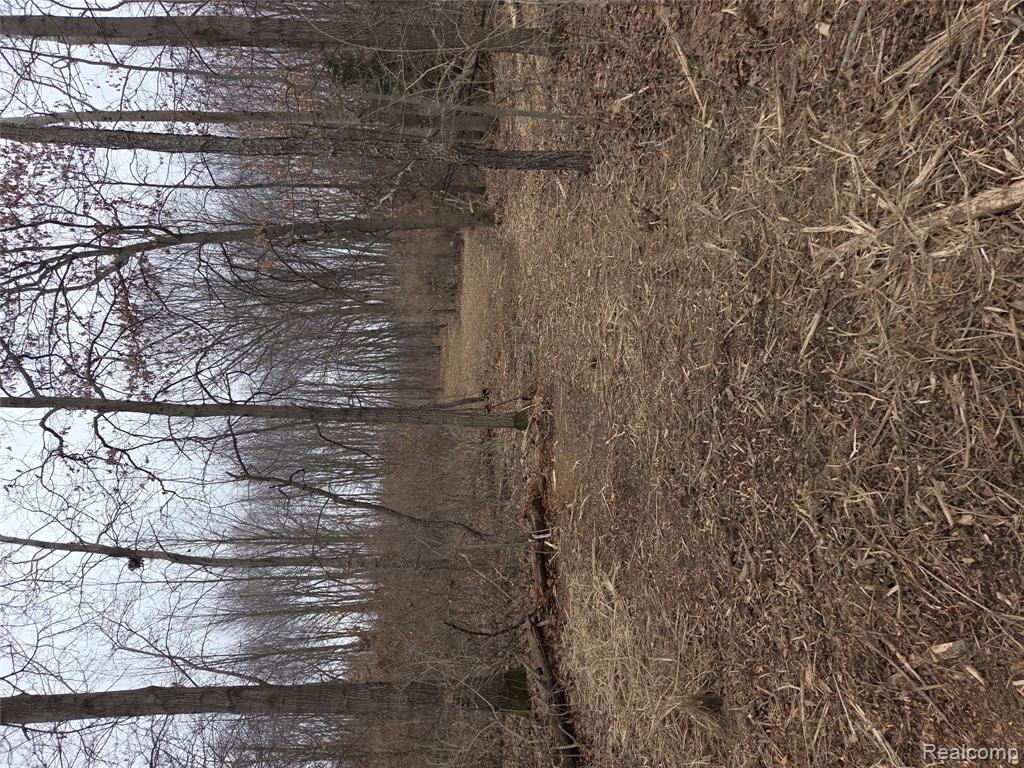 Tbd Cullen Road Fenton, MI 48430 - Photo 1 of 1
