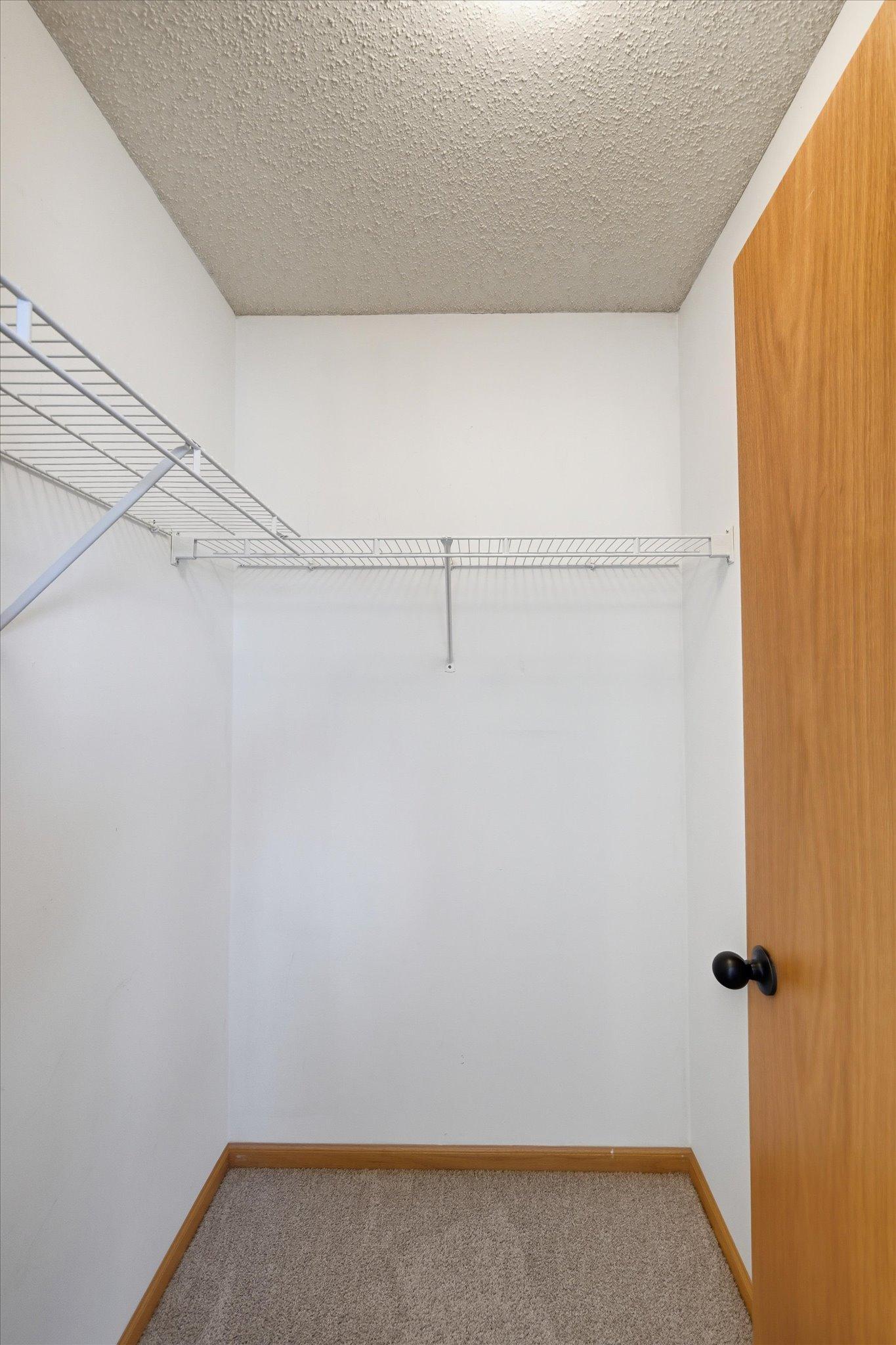 153 Pheasant Ridge Drive Montrose, MN 55363 - Photo 28 of 50