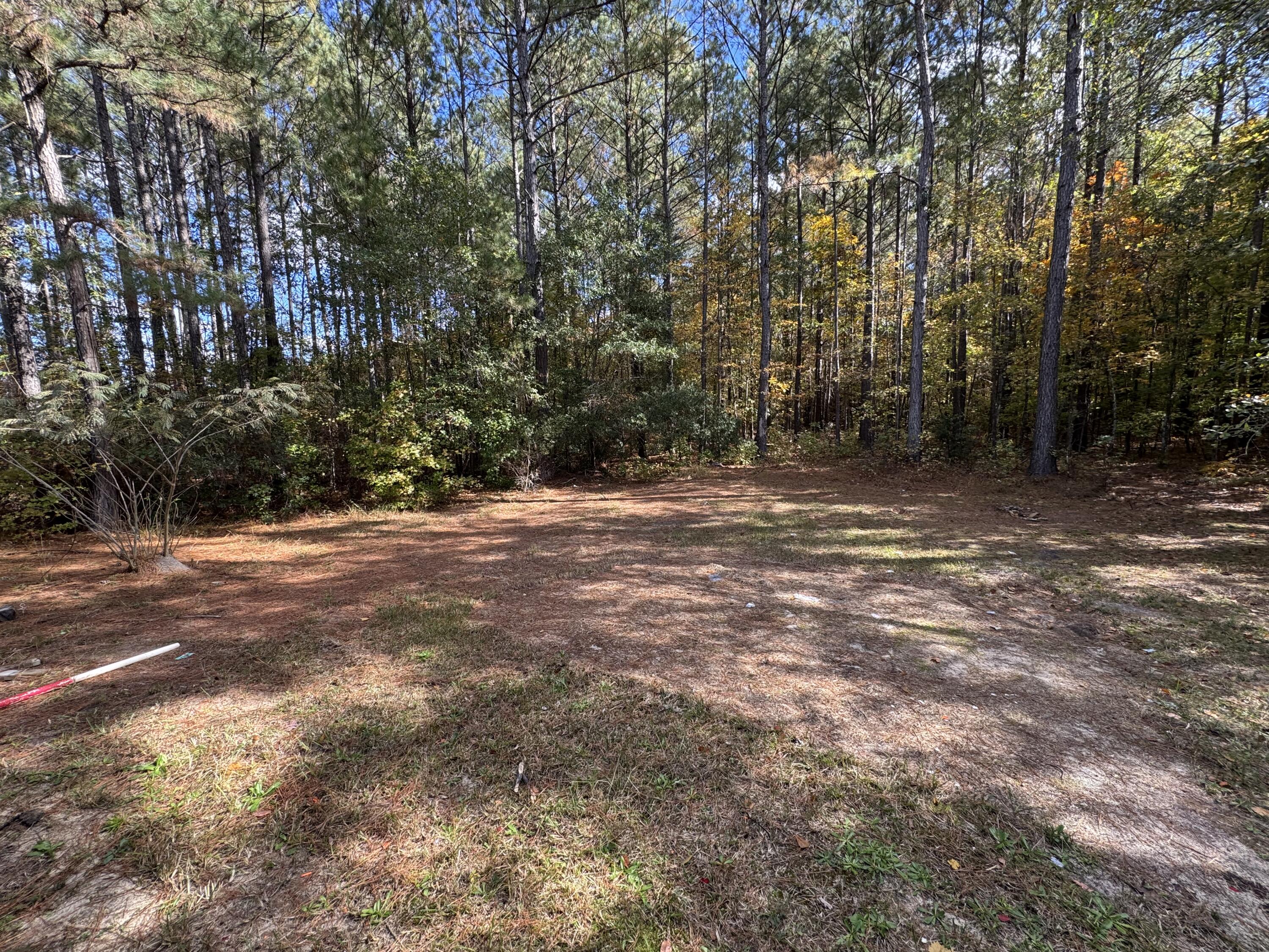 2475 Trinity Road Lynchburg, SC 29080 - Photo 22 of 23 Gallery Image 22