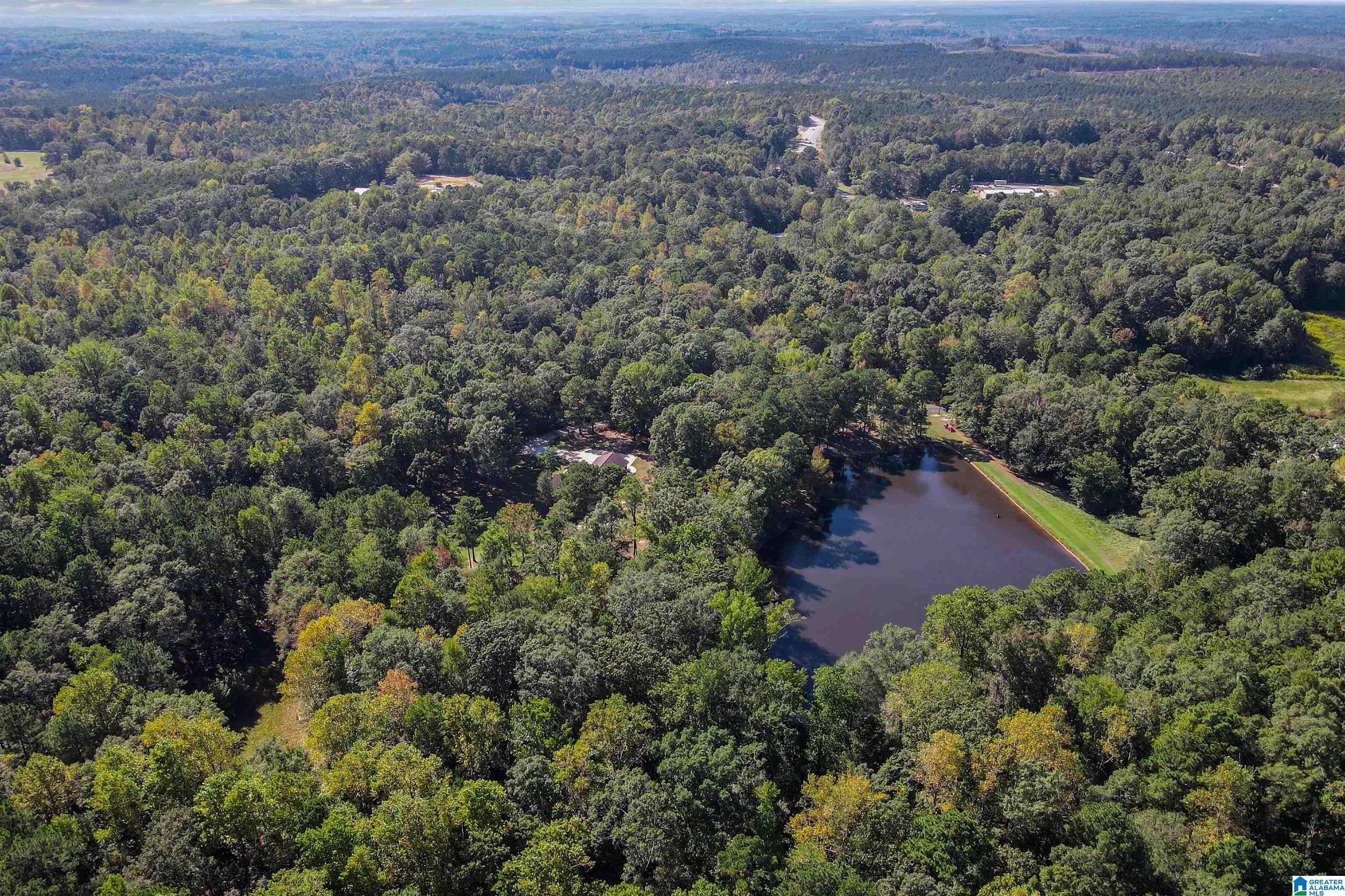 20110 Highway 22 Clanton, AL 35045 - Photo 23 of 49