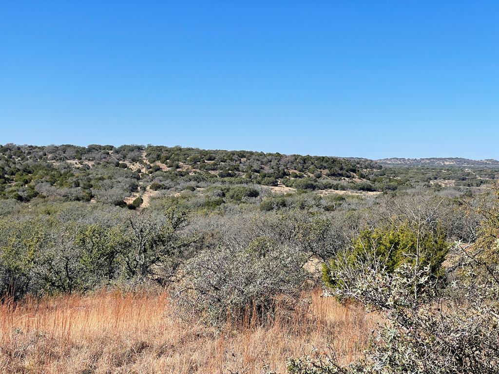 1476 Salt Branch Loop Doss, TX 78618 - Photo 13 of 20 Gallery Image 13