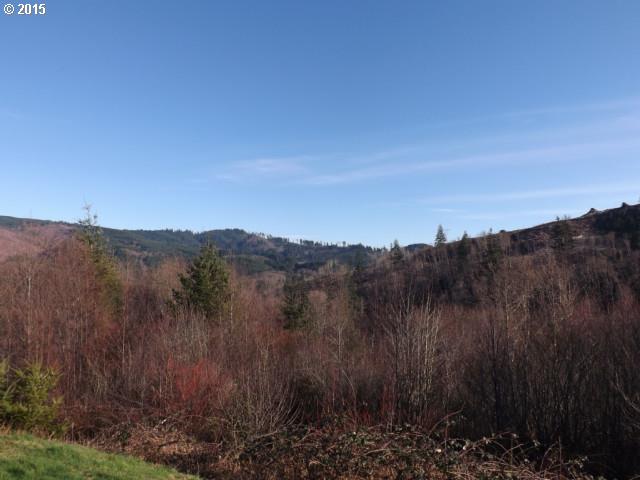 474 Inverness Road Woodland, WA 98674 - Photo 15 of 16 Gallery Image 15