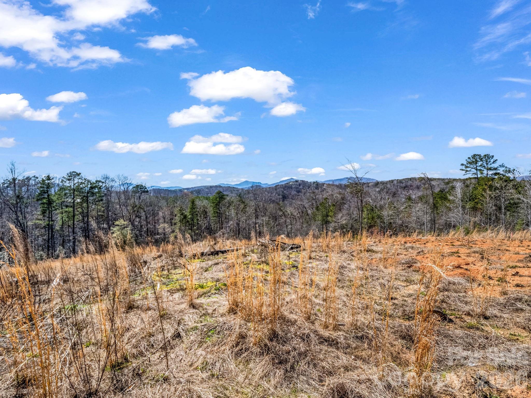 0 Shady Bark Lane, Unit 52 Rutherfordton, NC 28139 - Photo 10 of 45 Gallery Image 10