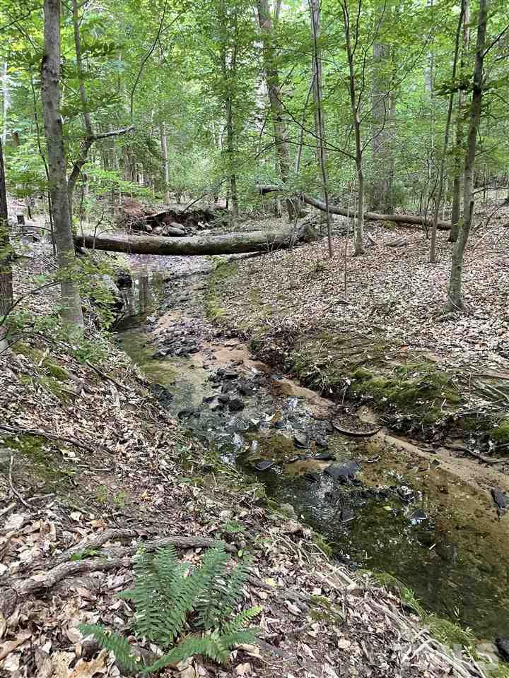 371 Lassiter Road Pittsboro, NC 27312 - Photo 14 of 19 a view of a forest with trees