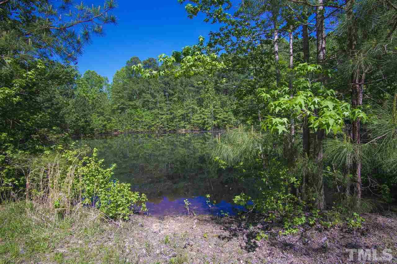 371 Lassiter Road Pittsboro, NC 27312 - Photo 18 of 19 a view of a forest