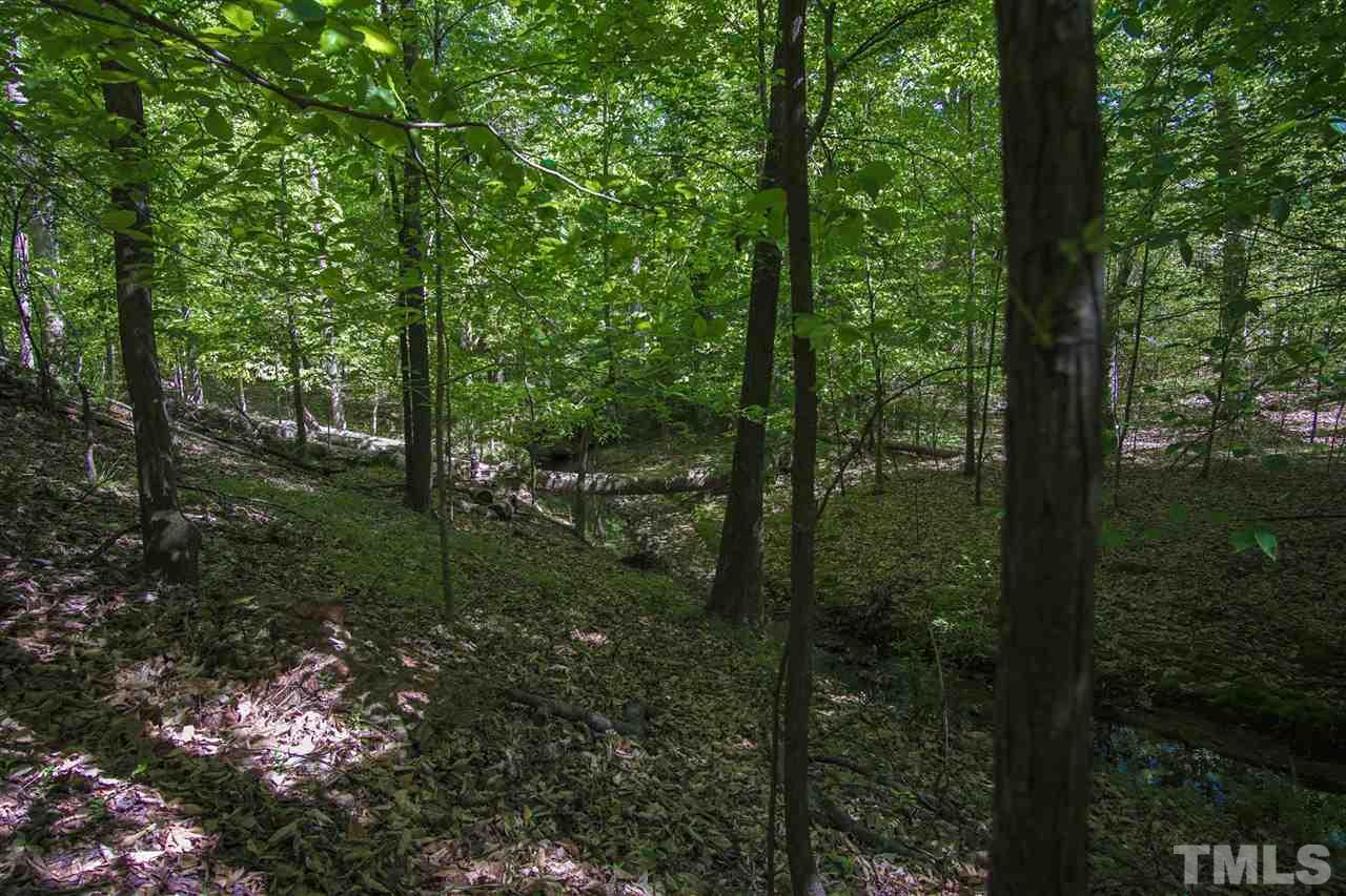 371 Lassiter Road Pittsboro, NC 27312 - Photo 8 of 19 a view of outdoor space and trees