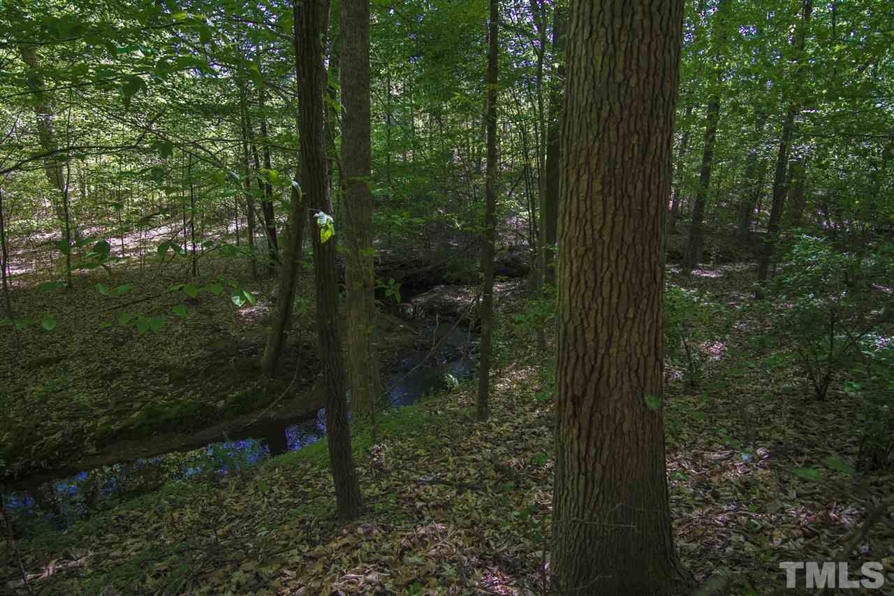 371 Lassiter Road Pittsboro, NC 27312 - Photo 9 of 19 a view of a forest