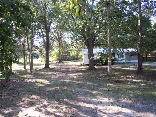 109 Terri Road Flora, MS 39071 - Photo 3 of 20 trees in front