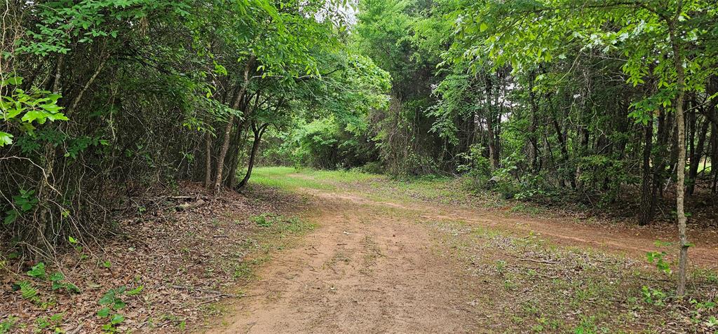 4814 VZ County Road Ben Wheeler, TX 75754 - Photo 1 of 1 Gallery Image 1