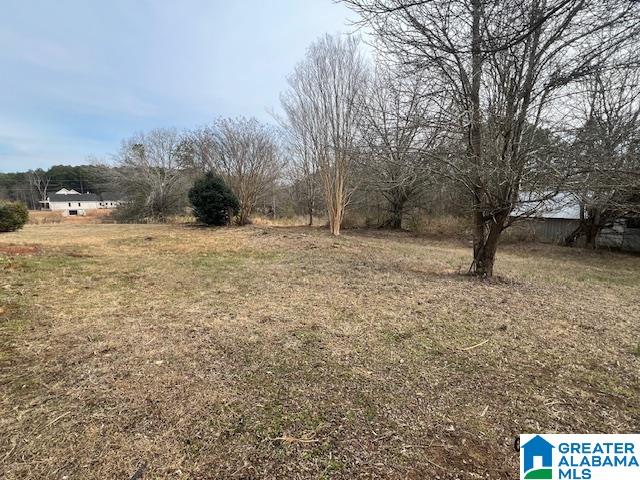 3230 Blooming Grove Road Jasper, AL 35504 - Photo 20 of 23