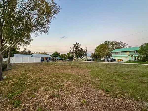 a view of green field with tree in the background