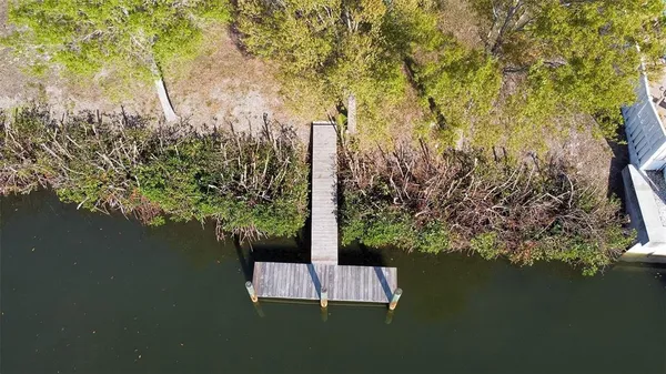 a view of a lake with a tree in the background