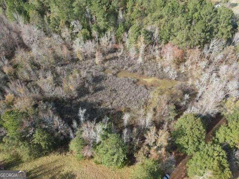 0 Smith Road Wrightsville, GA 31096 - Photo 2 of 9