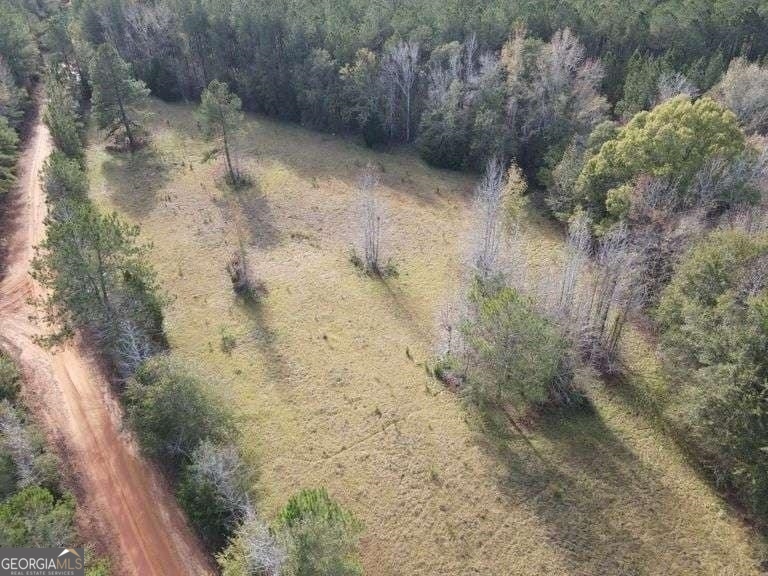 0 Smith Road Wrightsville, GA 31096 - Photo 3 of 9