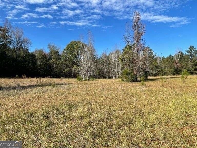 0 Smith Road Wrightsville, GA 31096 - Photo 4 of 9