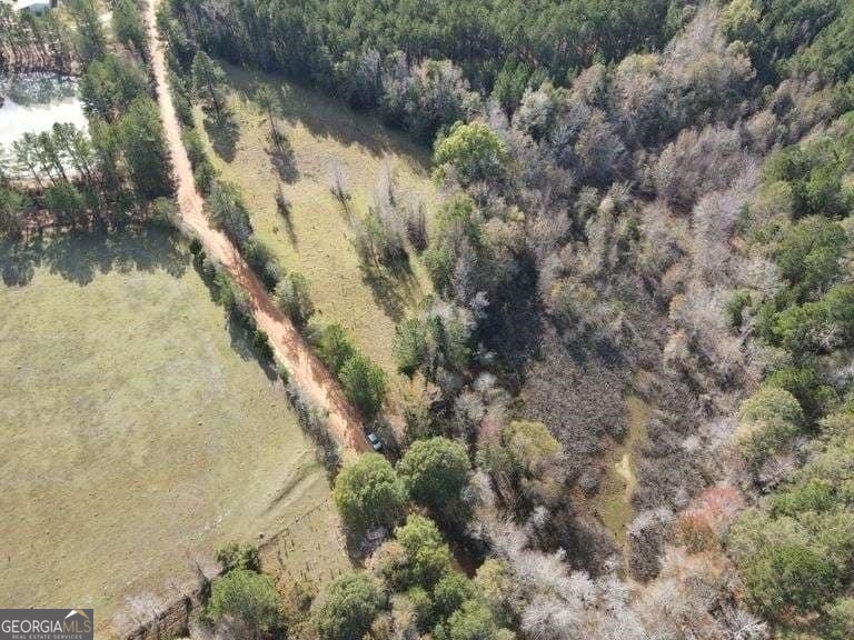 0 Smith Road Wrightsville, GA 31096 - Photo 5 of 9