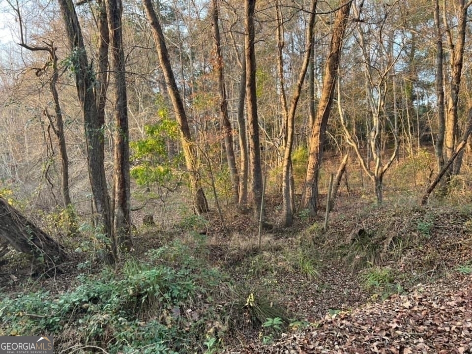 0 Smith Road Wrightsville, GA 31096 - Photo 6 of 9