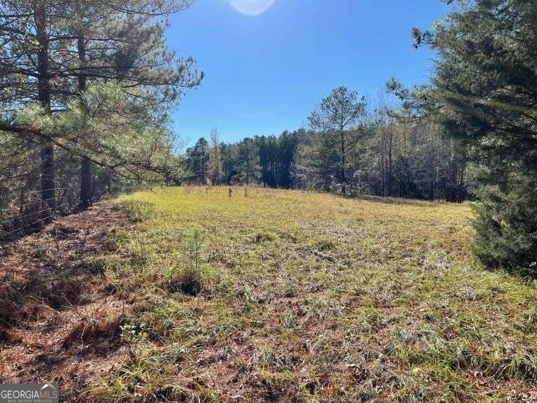 0 Smith Road Wrightsville, GA 31096 - Photo 7 of 9