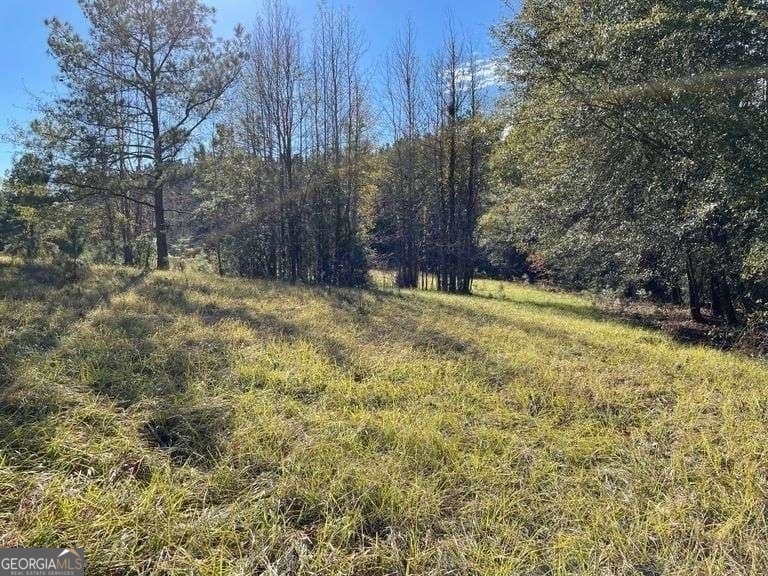 0 Smith Road Wrightsville, GA 31096 - Photo 8 of 9