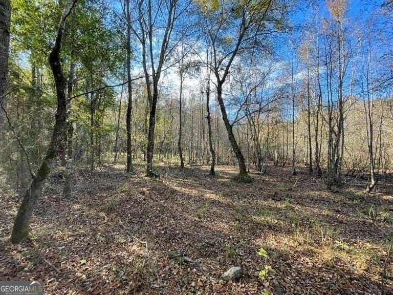 0 Smith Road Wrightsville, GA 31096 - Photo 9 of 9