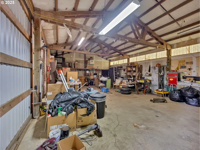 a view of a forest with trees in the background