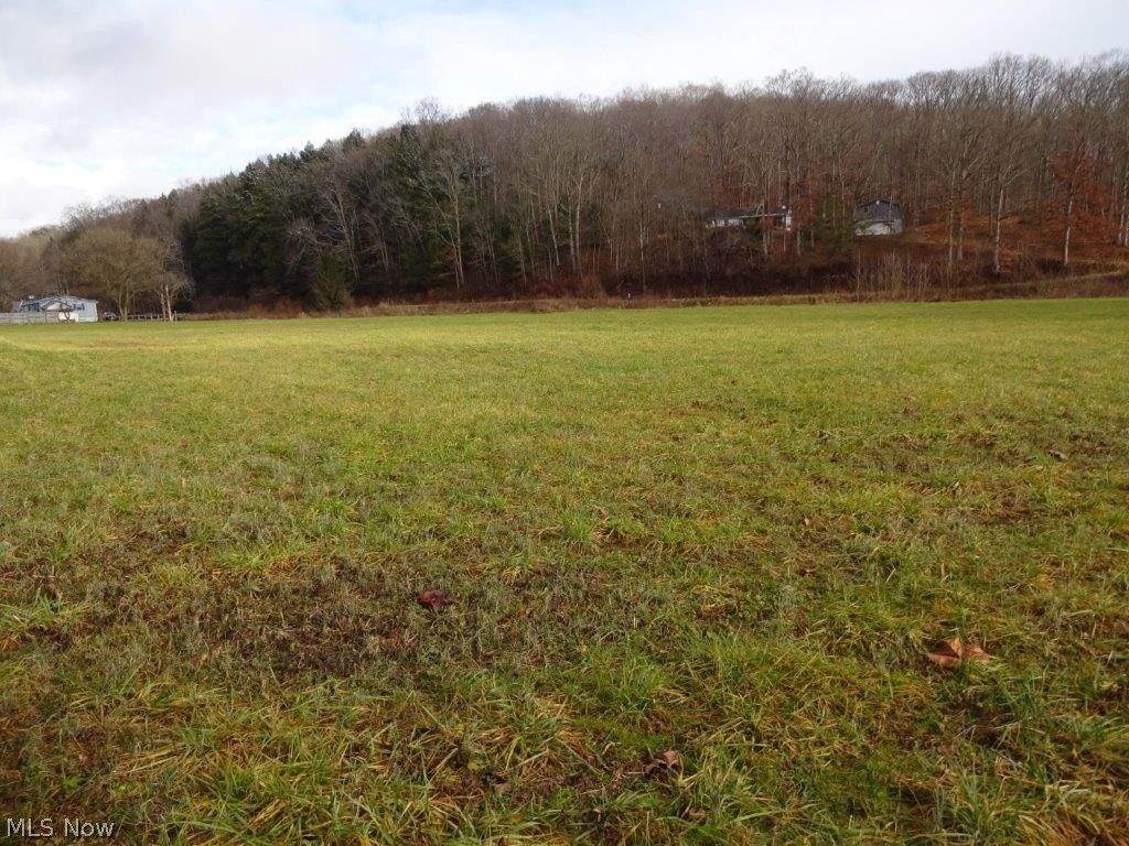 1009 Ghost Hollow Road Given, WV 25245 - Photo 14 of 27