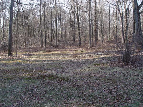 1196 Richardson Road Ashby, MA 01431 - Photo 12 of 29 a view of outdoor space with trees