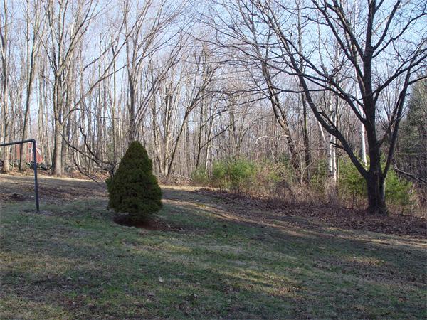 1196 Richardson Road Ashby, MA 01431 - Photo 13 of 29 a view of outdoor space with trees