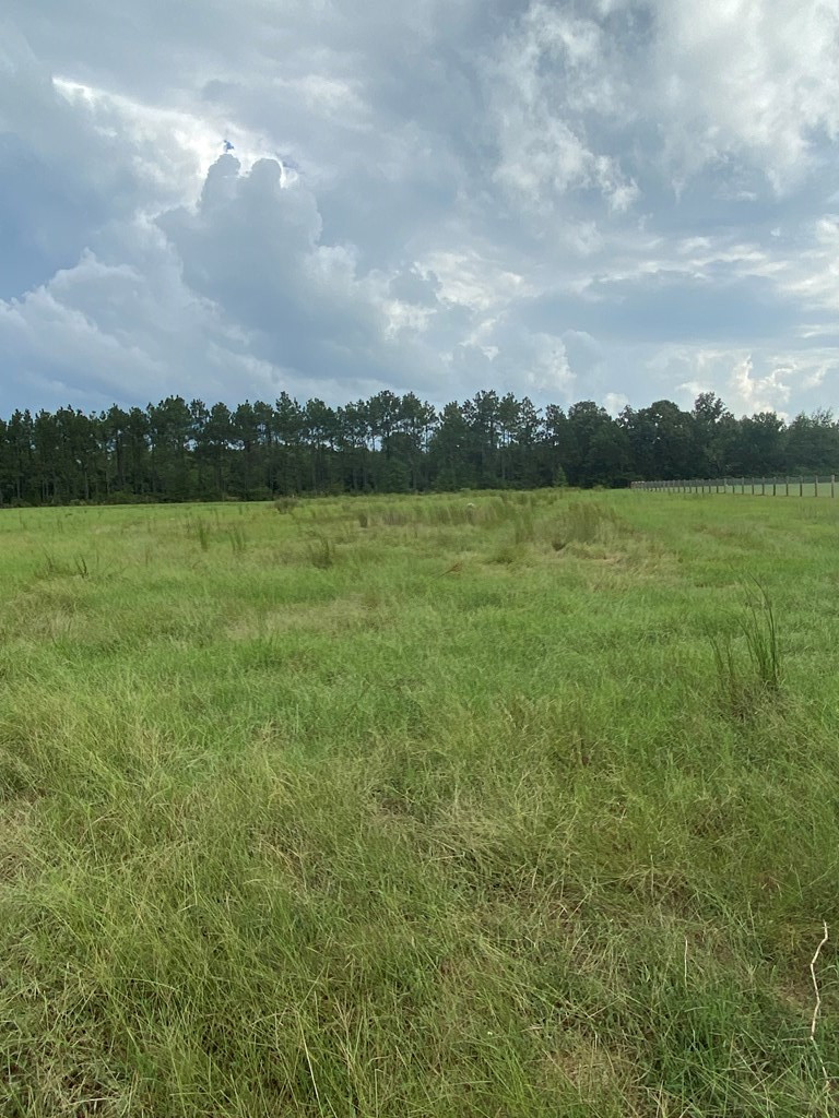 53 Old Friar Road Aiken, SC 29801 - Photo 13 of 27