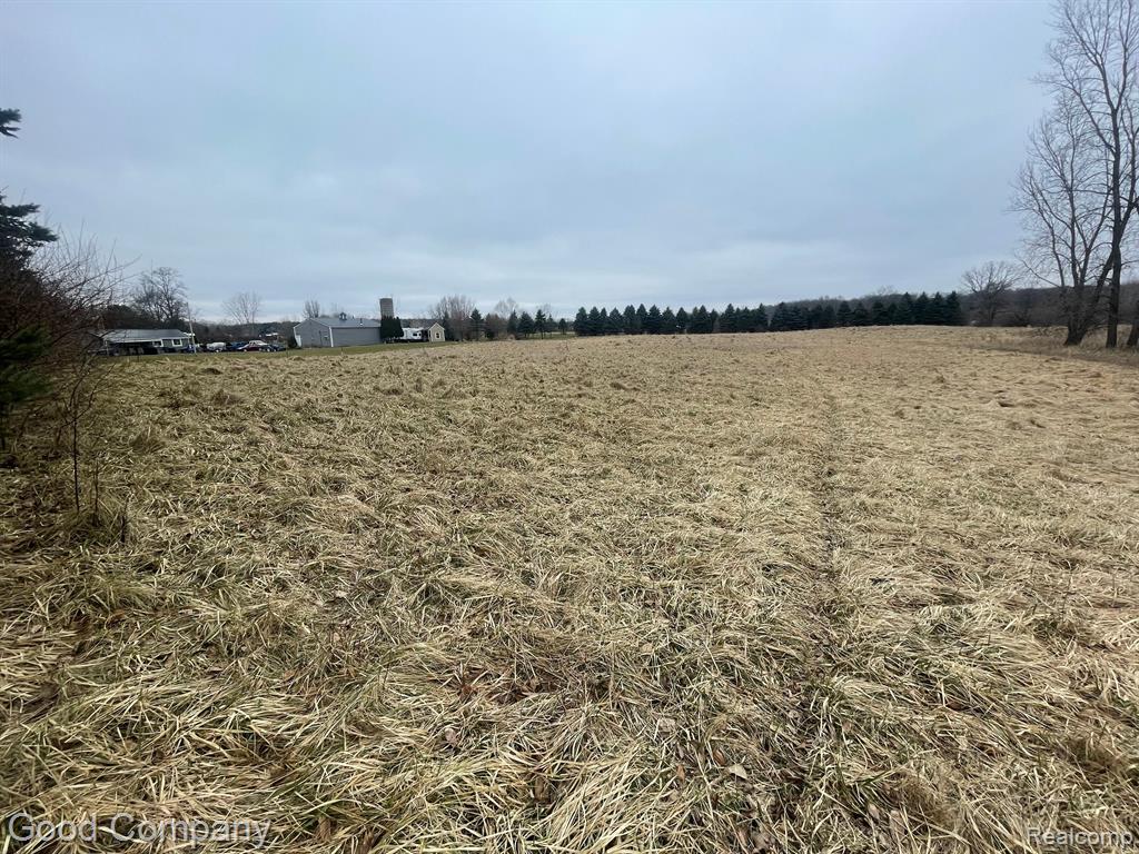 0 Belford Road Holly, MI 48442 - Photo 6 of 8 Gallery Image 6