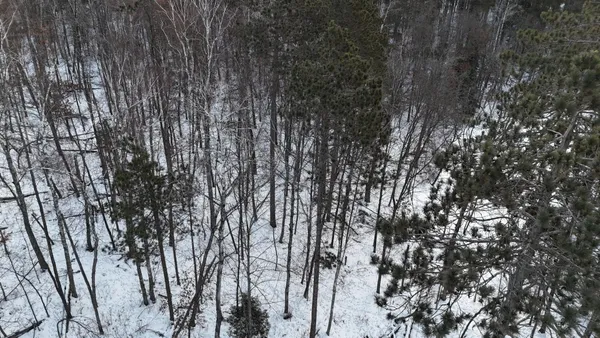 $22,900 | 37898 Spruce Drive, Sturgeon Lake, MN 55783