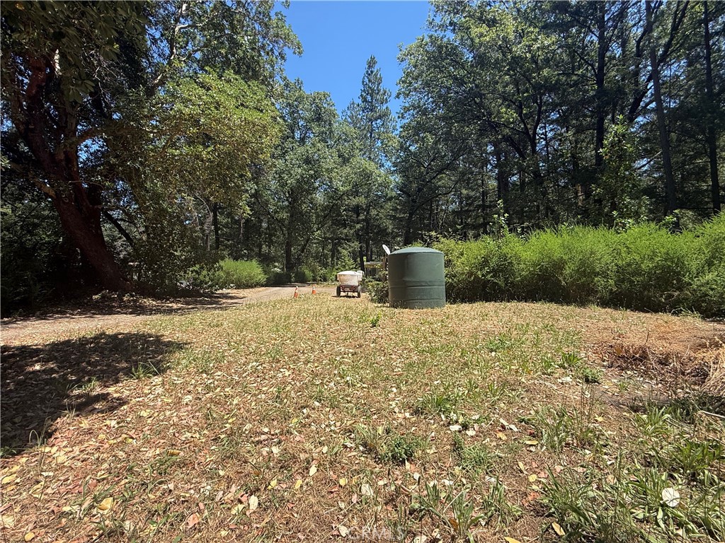 22830 Shady Grove Road Middletown, CA 95461 - Photo 13 of 17