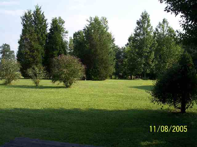 646 Hester Store Road Easley, SC 29640 - Photo 3 of 9