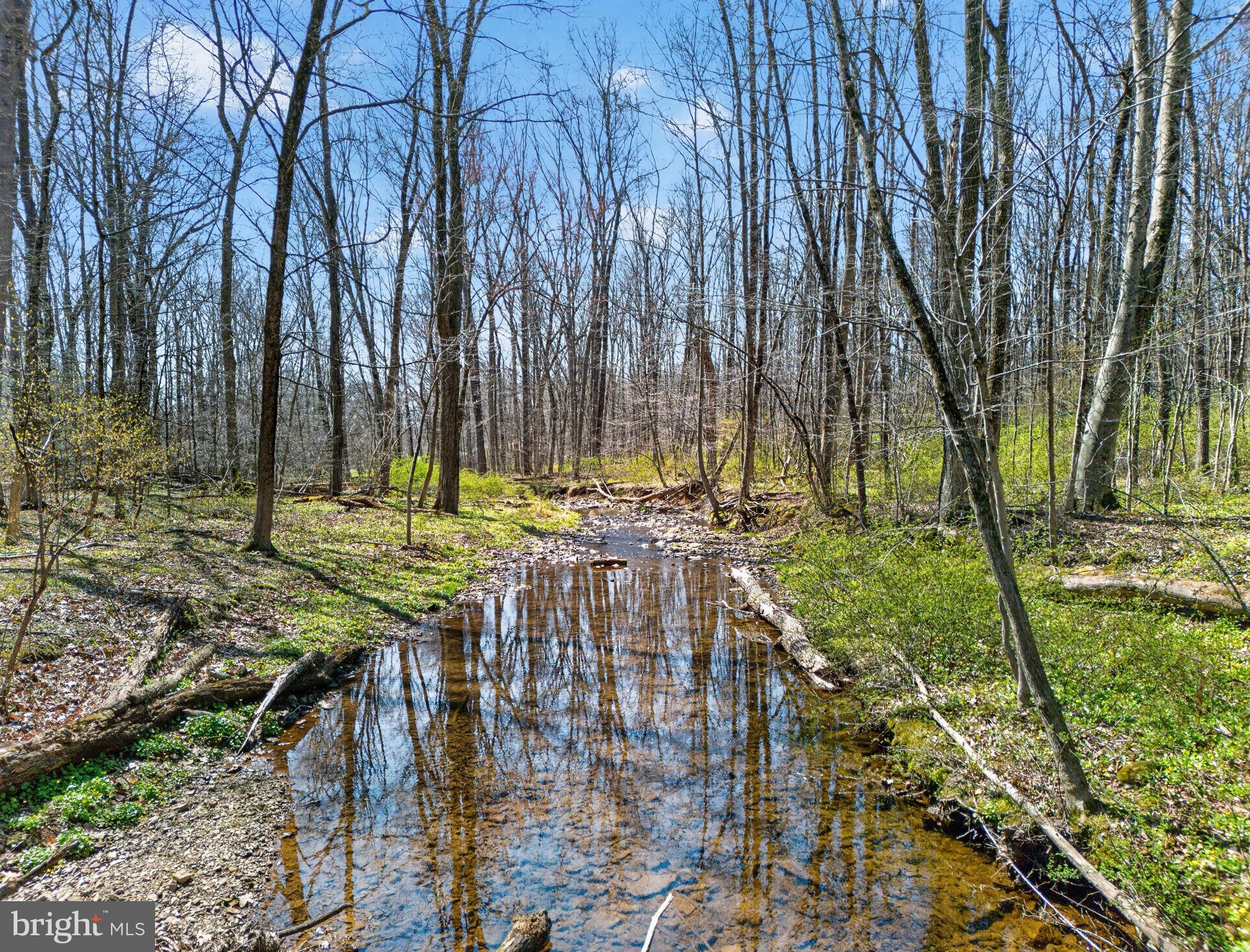 2635 Possum Hollow Road Quakertown, PA 18951 - Photo 18 of 78 Licking Creek