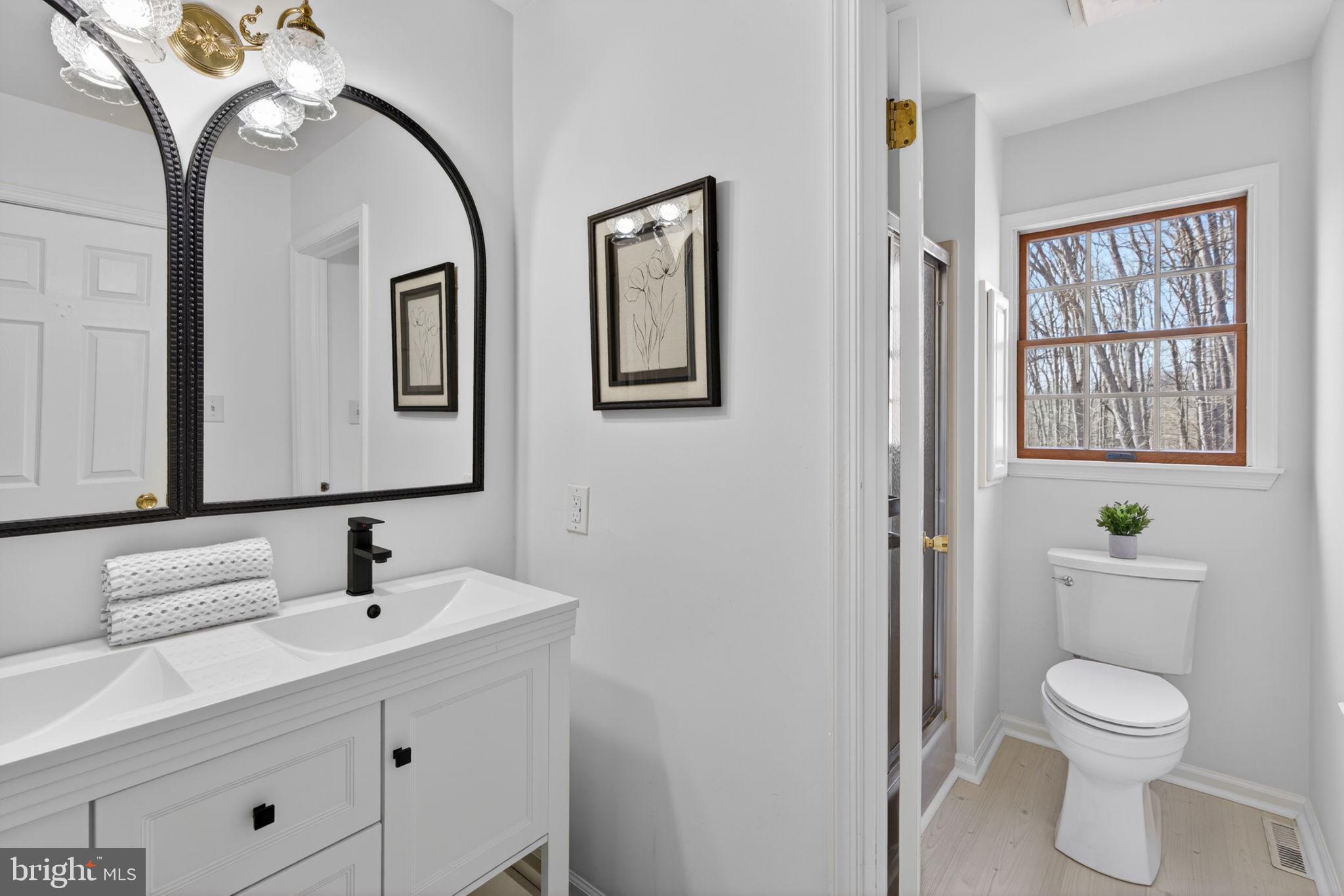 2635 Possum Hollow Road Quakertown, PA 18951 - Photo 65 of 78 a bathroom with a toilet sink and mirror