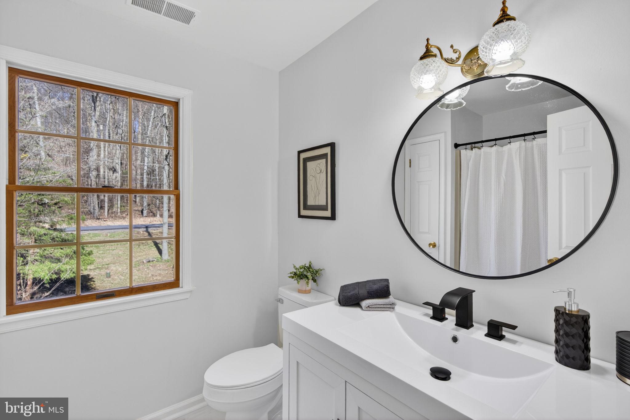2635 Possum Hollow Road Quakertown, PA 18951 - Photo 71 of 78 a bathroom with a sink a mirror and a toilet