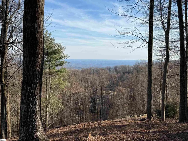 $149,000 | Lot 152 Goldenrod Way, Landrum, SC 29356
