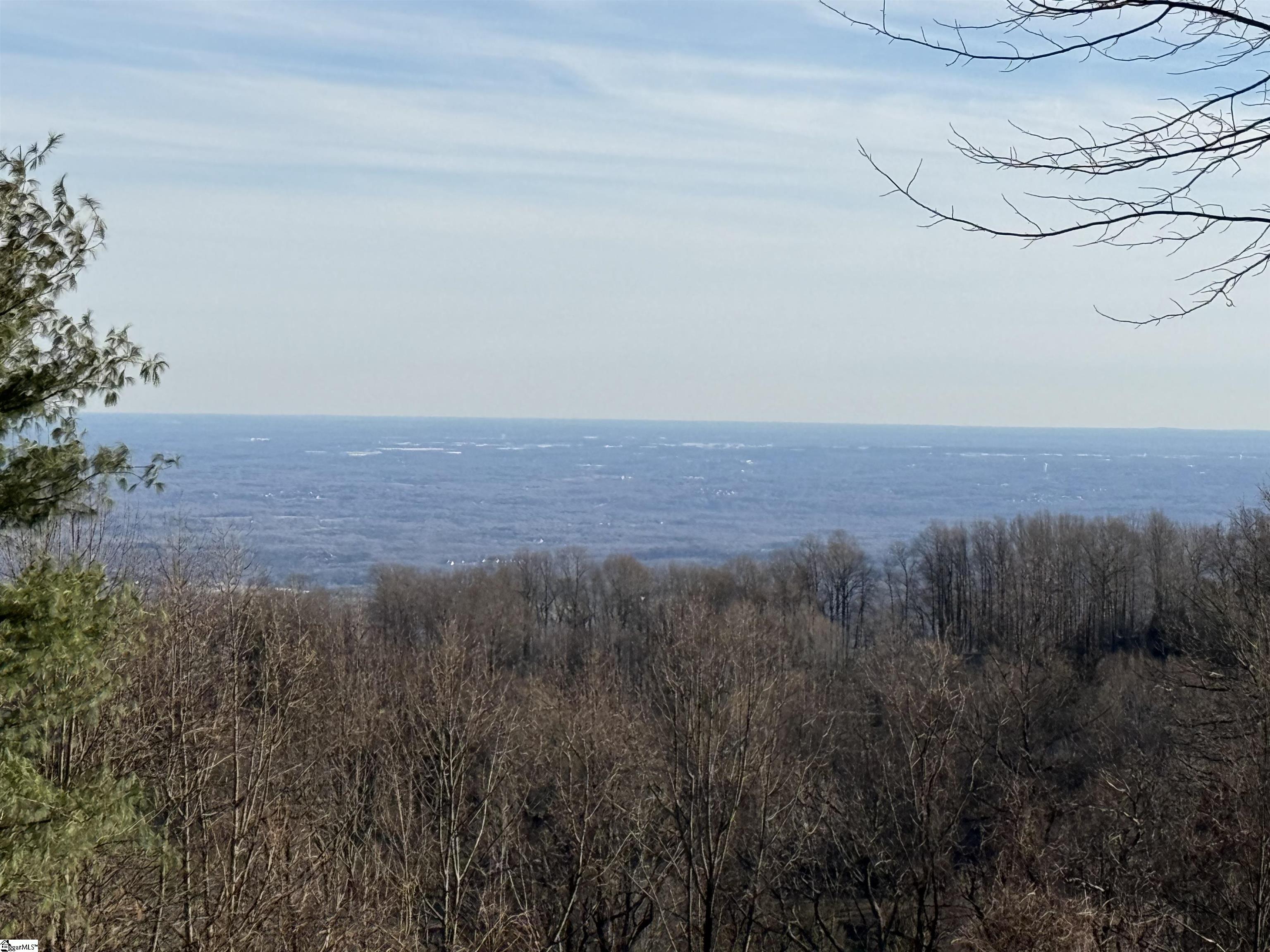 Lot 152 Goldenrod Way Landrum, SC 29356 - Photo 2 of 3
